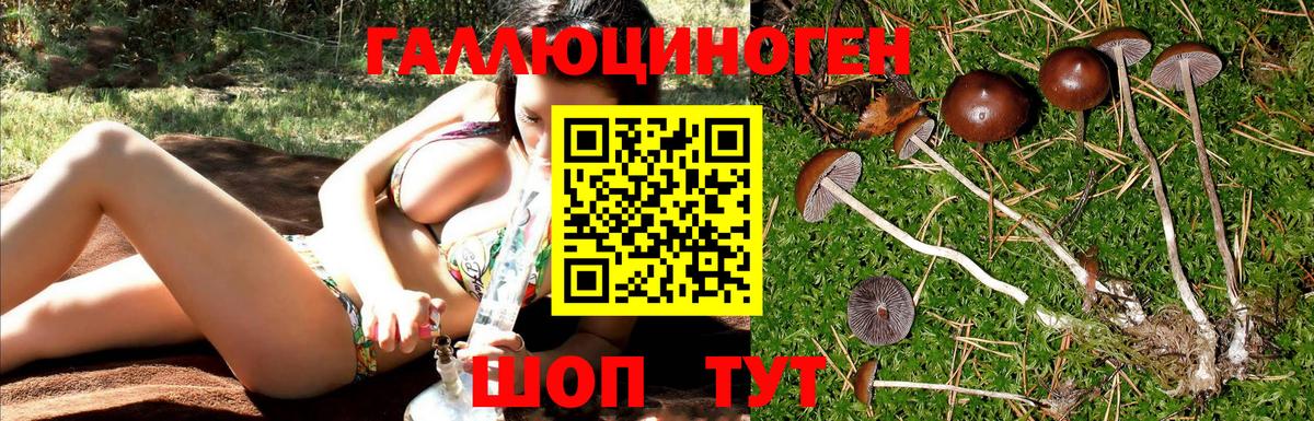Галлюциногенные грибы мицелий  Вход с VPN  Шахты 