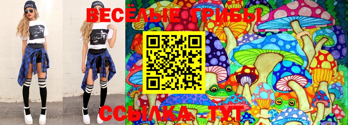 Псилоцибиновые грибы GOLDEN TEACHER Шахты